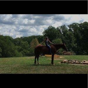 Meet your Posher, Bailey